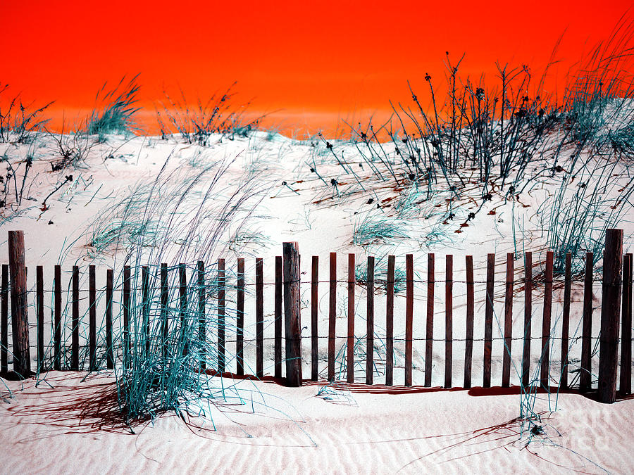 Beach Dune Pop Art at Seaside Park Photograph by John Rizzuto