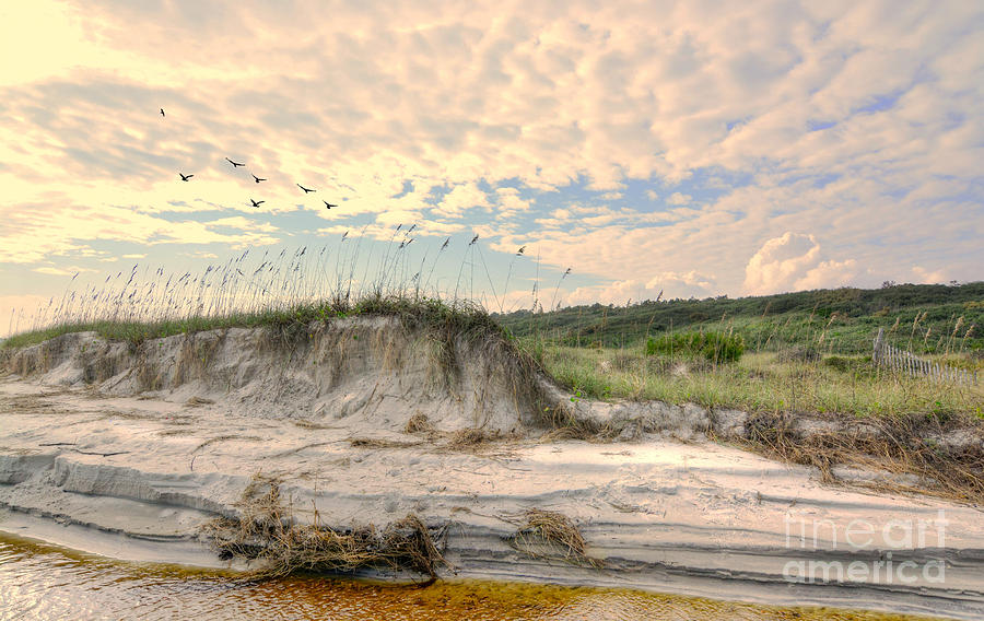 Beach Dunes And Gulls Photograph by Kathy Baccari