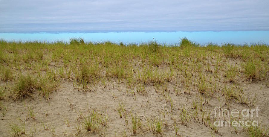 Beach dunes -Seaside, OR Photograph by Bruce Block
