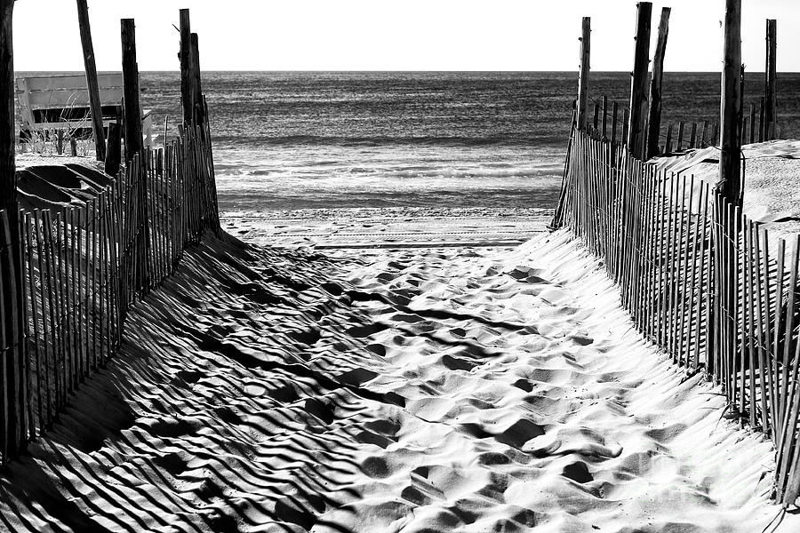 Summer Photograph - Beach Entry Black and White Long Beach Island by John Rizzuto