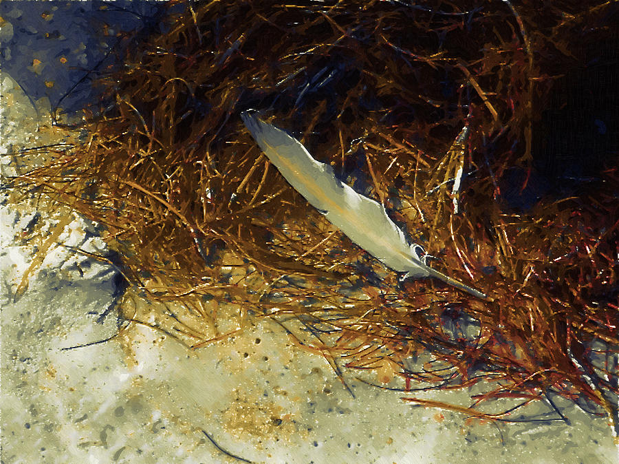 Beach Feather Digital Art by Robert Bissett