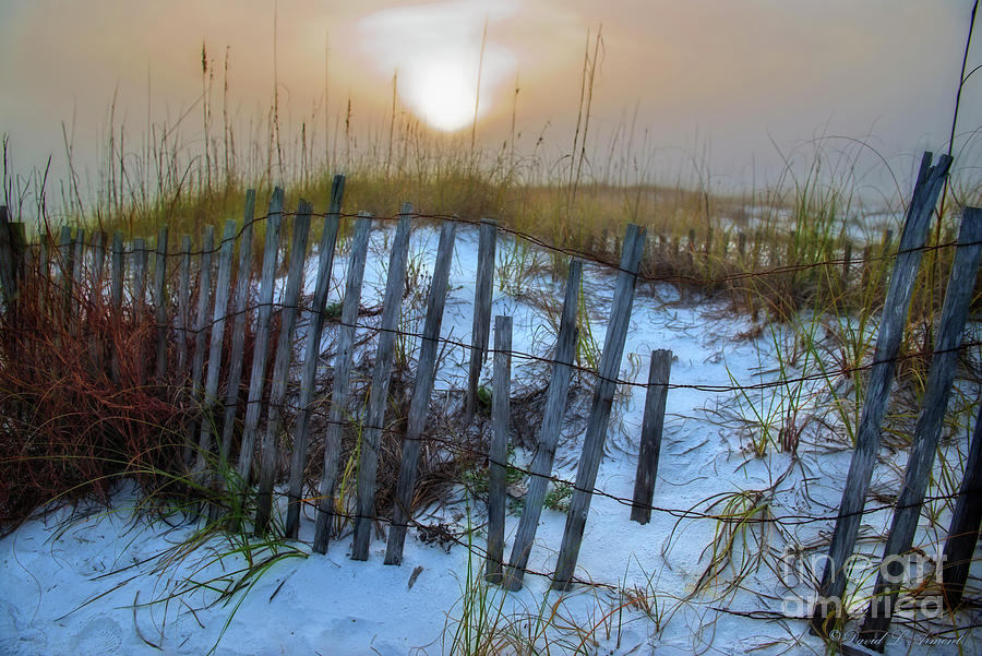 Beach Fence at Sunset Photograph by David Arment
