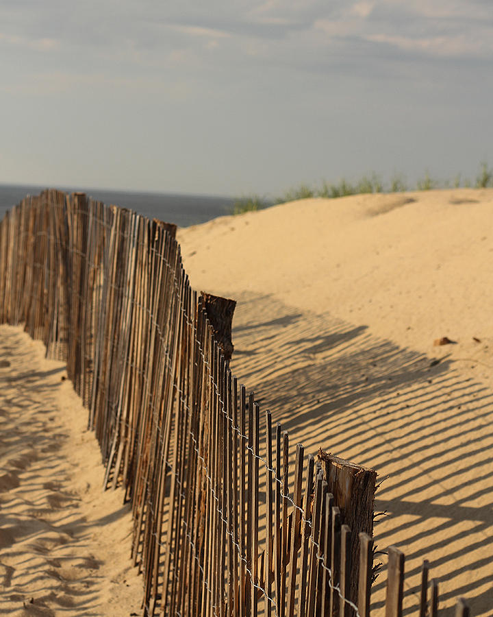 Beach Fence, Cape Cod Photograph by Nicole Freedman