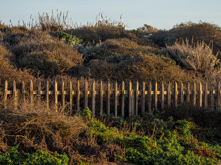 Beach Fence Photograph by Derek Dean