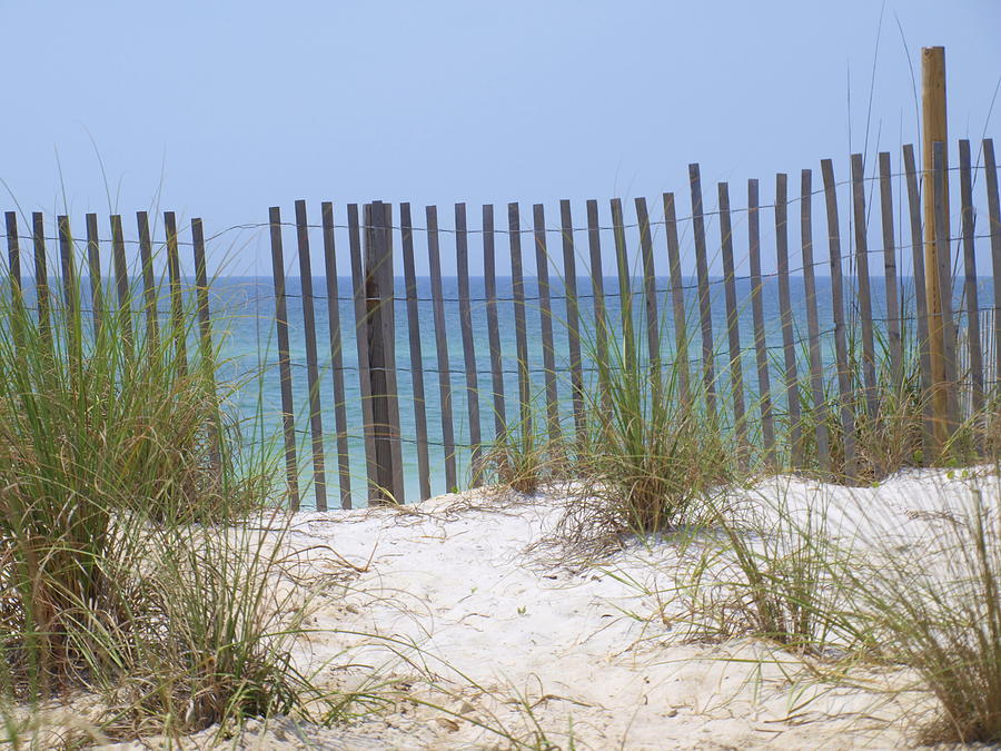 Beach Fence Photograph by James Granberry