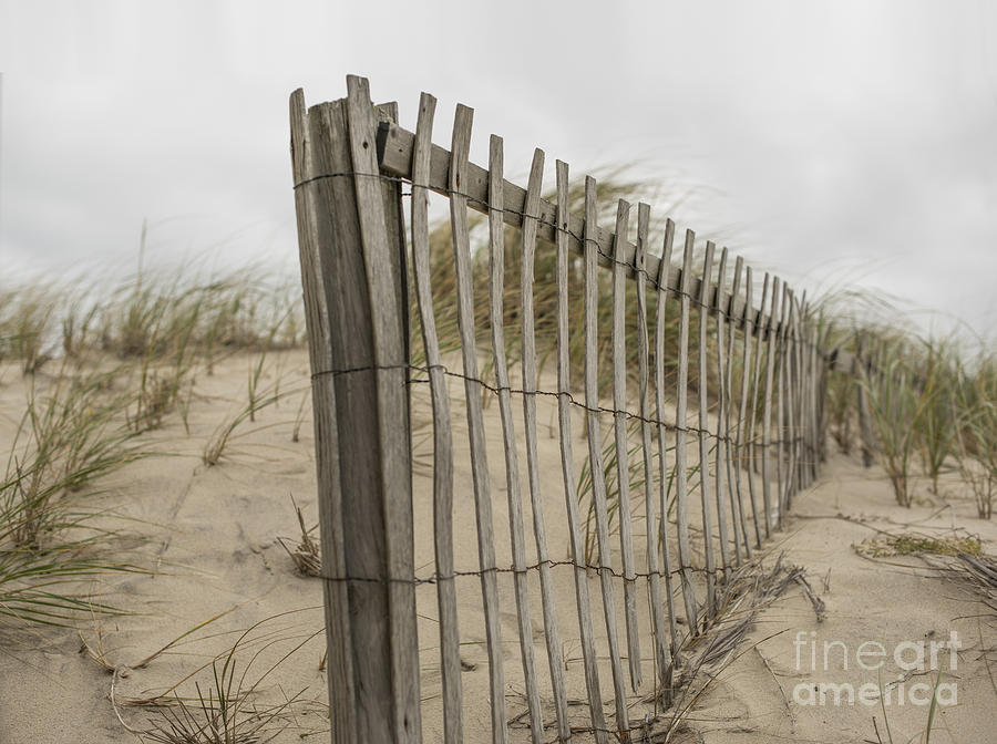 Beach Fence Photograph by Juli Scalzi