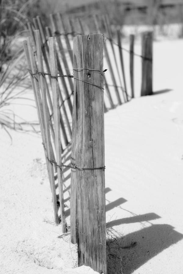 Beach Fence Line Photograph by Toni Hopper