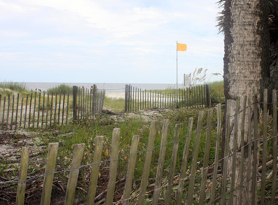Beach Fence on Hunting Island Photograph by Ellen Tully