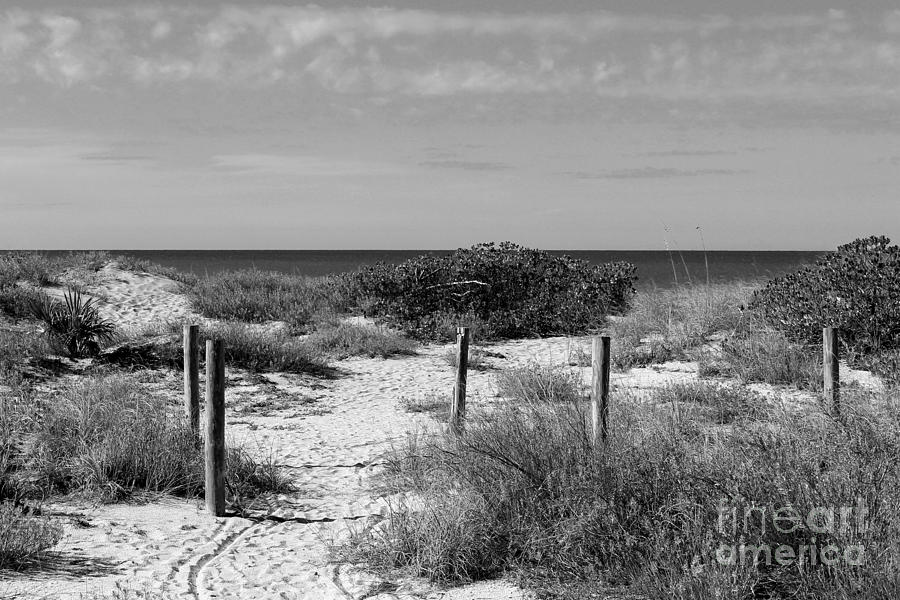 Beach Fence Photograph by Robert Wilder Jr