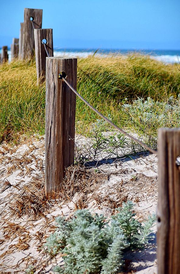 Beach Photograph - Beach Fence by Sandy Taylor