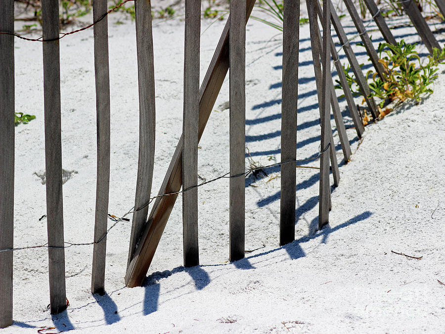 Beach Fence Shadows Photograph by Karen Adams