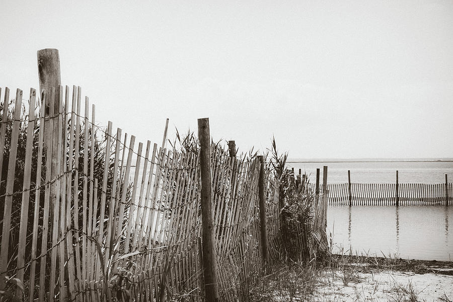 Summer Photograph - Beach Fences at LBI by Colleen Kammerer