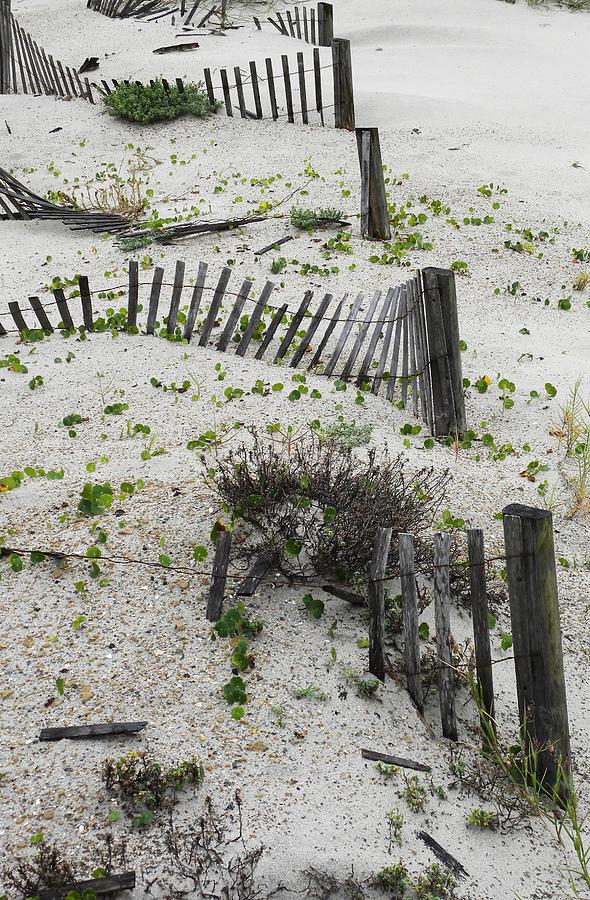 Beach Fence Photograph - Beach Fences by Kim Zwick Beach Fence Photograph - Beach Fences by Kim Zwick