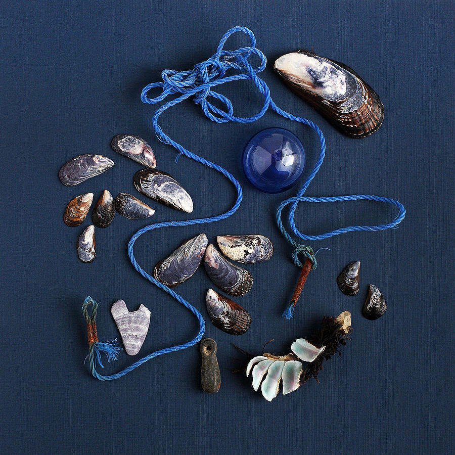 Beach Finds in Blue Photograph by Art Block Collections