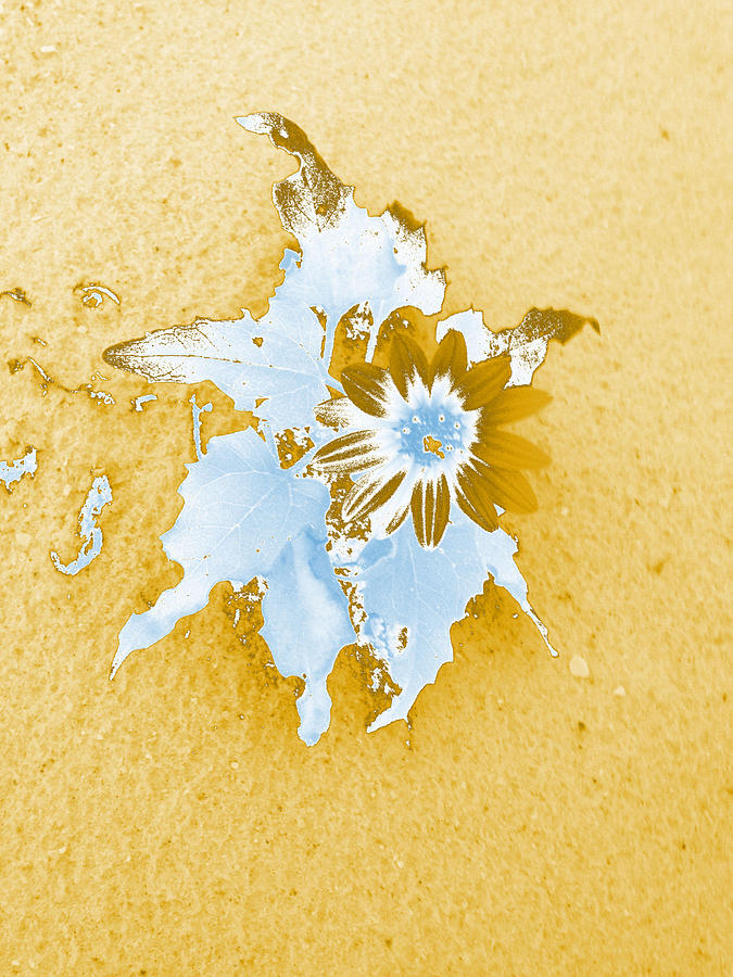Beach Flower Digital Art by Stephanie Agliano
