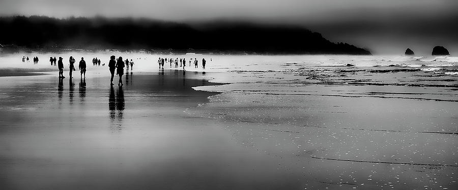 Landscape Photograph - Beach Fog by David Patterson