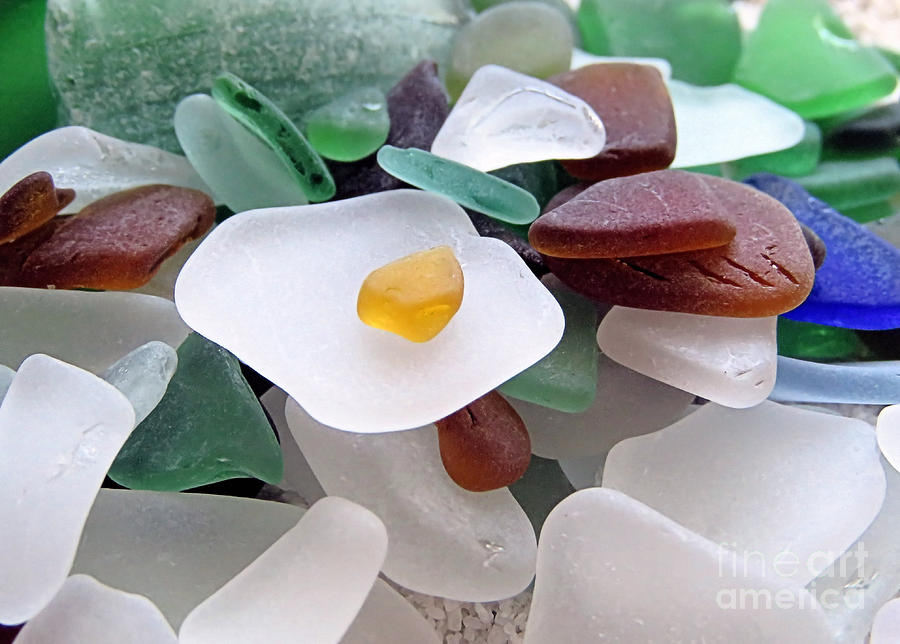 Beach Glass Collection Photograph by Janice Drew