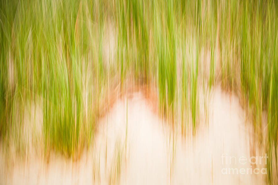 Abstract Photograph - Beach Grass Abstract by Lisa McStamp