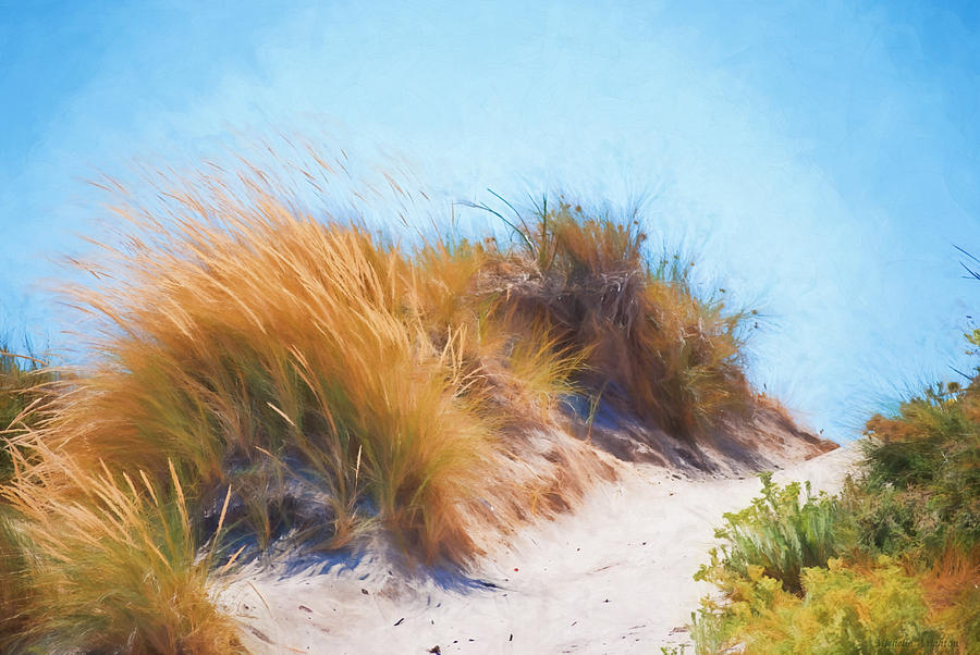 Summer Photograph - Beach Grass and Sand Dunes by Michelle Wrighton