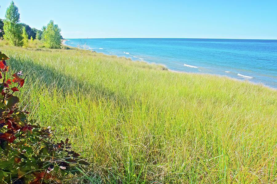 Beach Grass near Lake Michigan, Michigan Grass nearLake Michigan near Saugatuck, Michigan Photograph by Ruth Hager