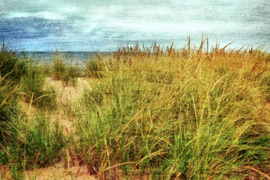 Beach Grass Path - Painterly Digital Art by Michelle Calkins