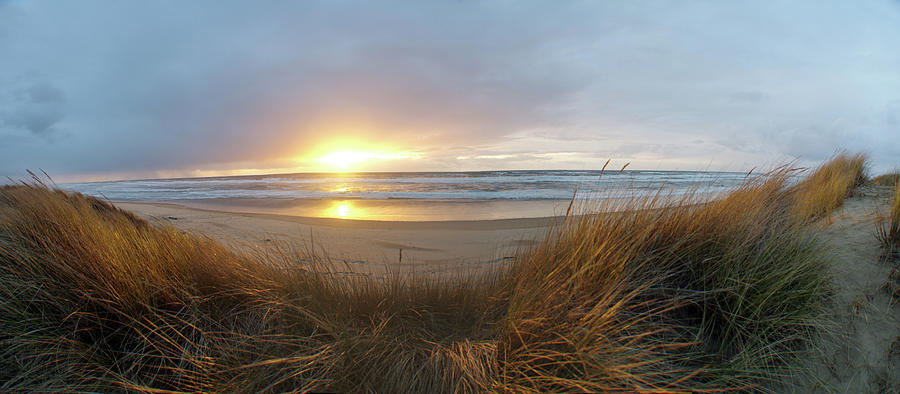 Beach Grass Sunset Photograph by Adria Trail