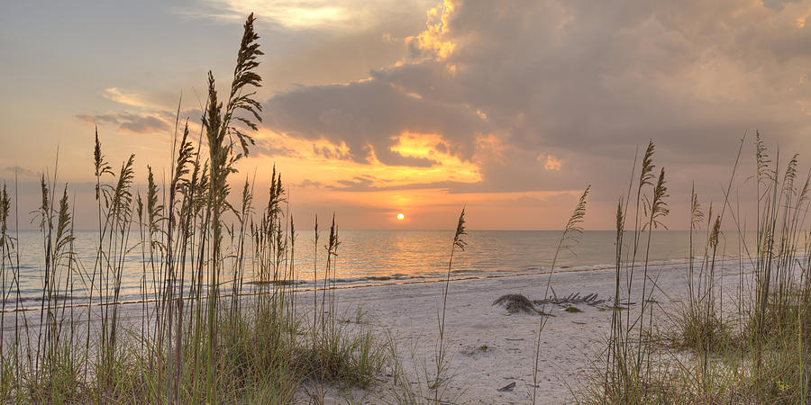 Beach Grass Sunset Photograph by Sean Allen