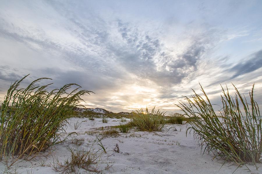 Beach Grasses Photograph by Gary Oliver - Fine Art America