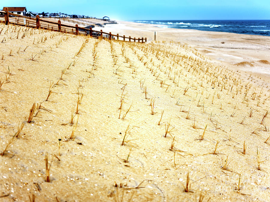 Beach Haven Dune Angles at Long Beach Island Photograph by John Rizzuto