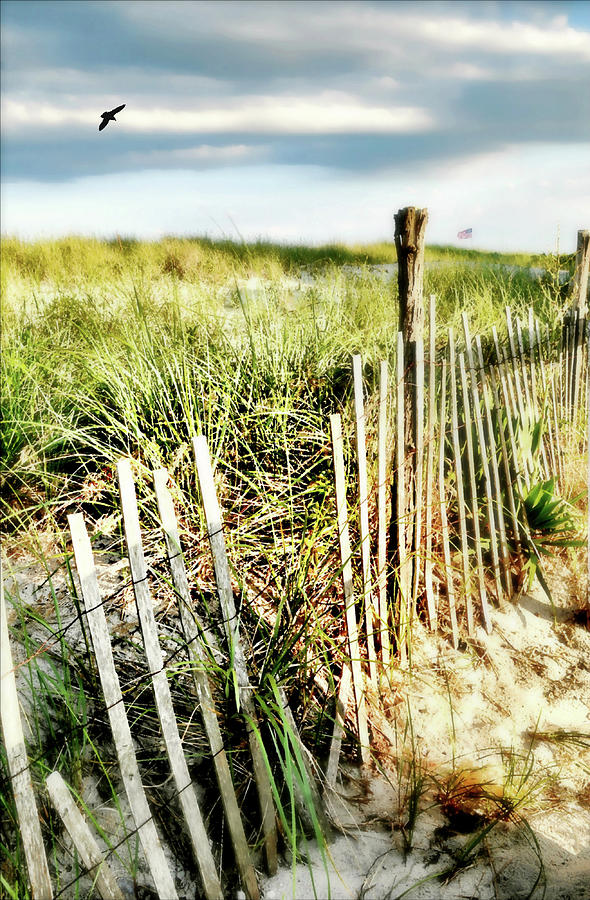 Beach Haven Dunes Photograph by Diana Angstadt