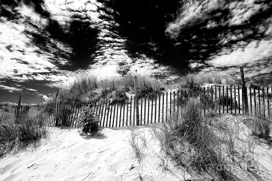 Beach Haven Long Beach Island Photograph by John Rizzuto