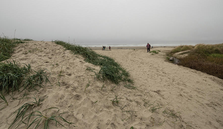 Beach Hiker on a Foggy Day Photograph by Tom Cochran