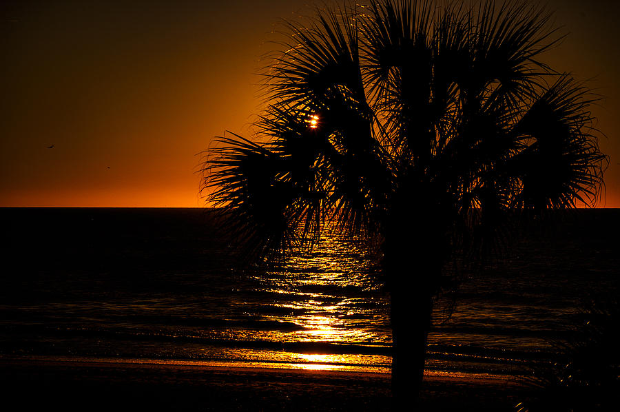 Beach House Sunset Photograph by Penny Lisowski