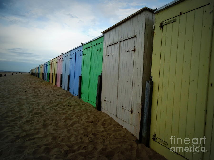 Beach Huts Photograph by Lainie Wrightson