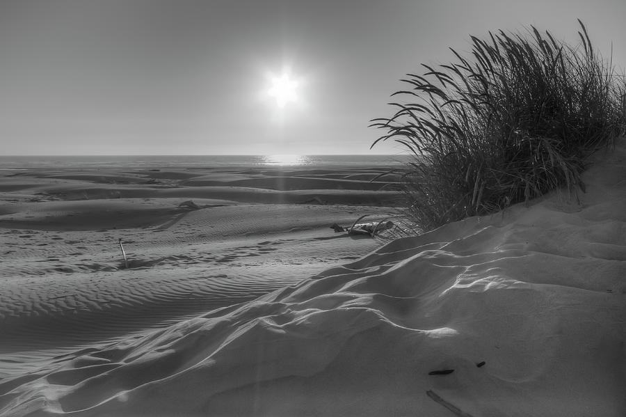 Beach In Black And White 0744 Photograph