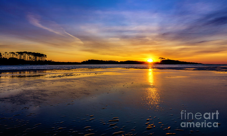 Beach Inlet Sunrise Photograph by David Smith