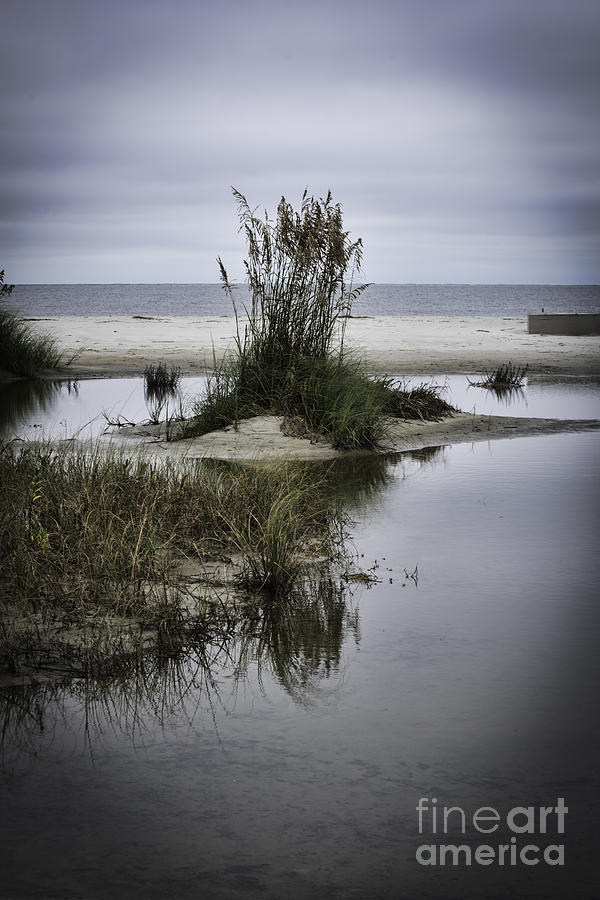 Beach Island Photograph by Judy Wolinsky