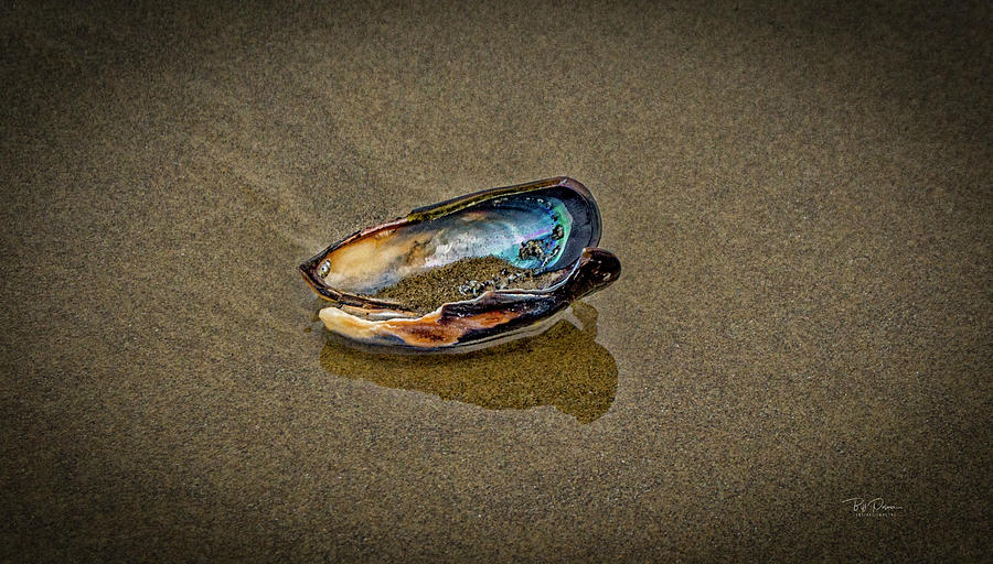 Beach Jewel Photograph by Bill Posner
