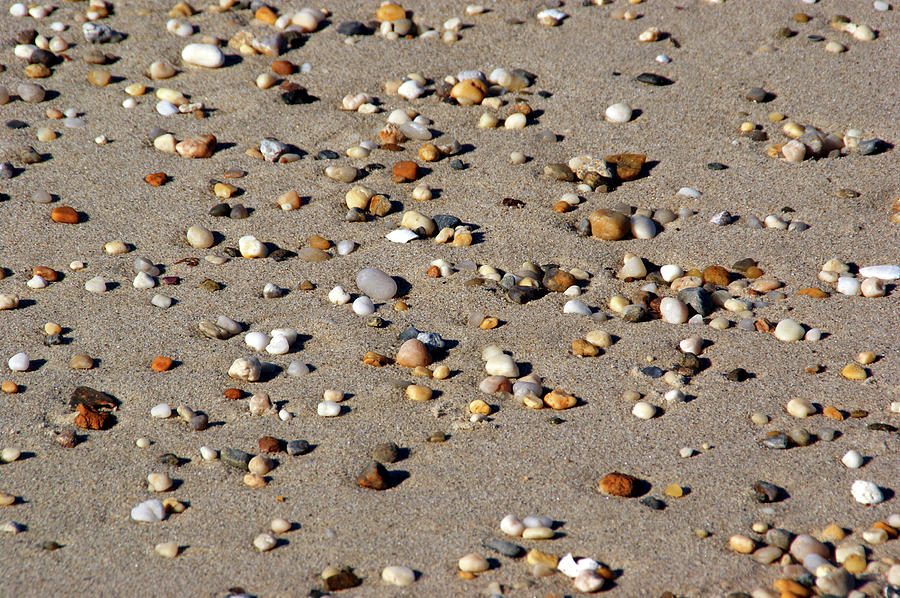 Beach Jewels Photograph by Lynda Lehmann