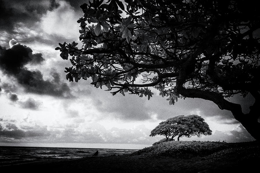 Beach Kauai Hawaii Film Noir Black and White 7R2_DSC4530_01112018 Photograph by Greg Kluempers