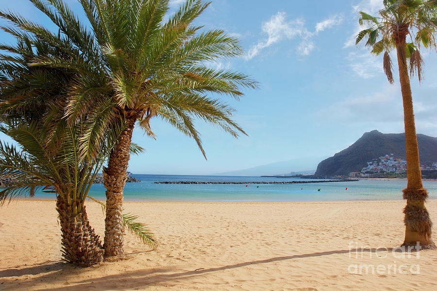 Beach las Teresitas, Tenerife Photograph by Anastasy Yarmolovich
