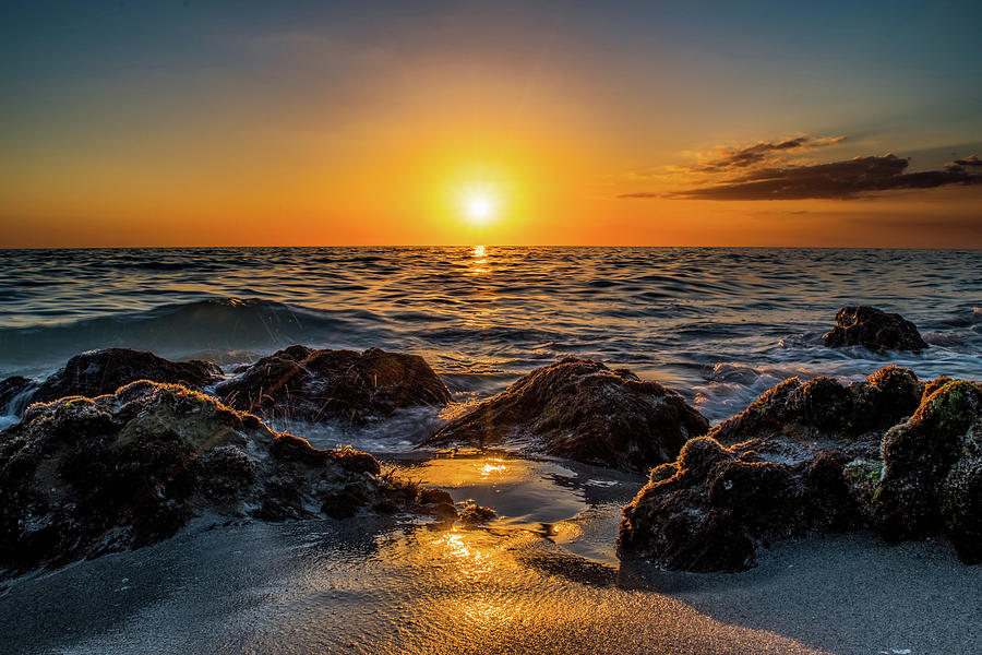 Florida Photograph - Beach Life by Don Miller Florida Photograph - Beach Life by Don Miller