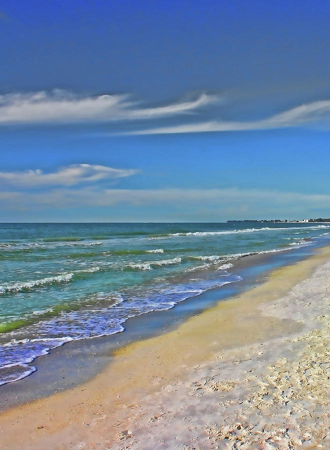 Beach Life Photograph by HH Photography of Florida