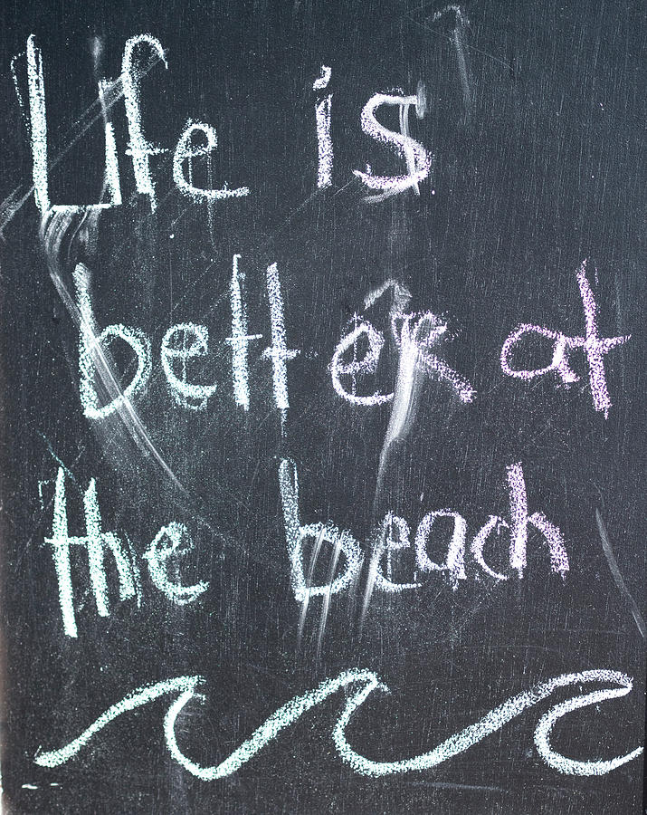 Beach Life Mantra Photograph by David Kay