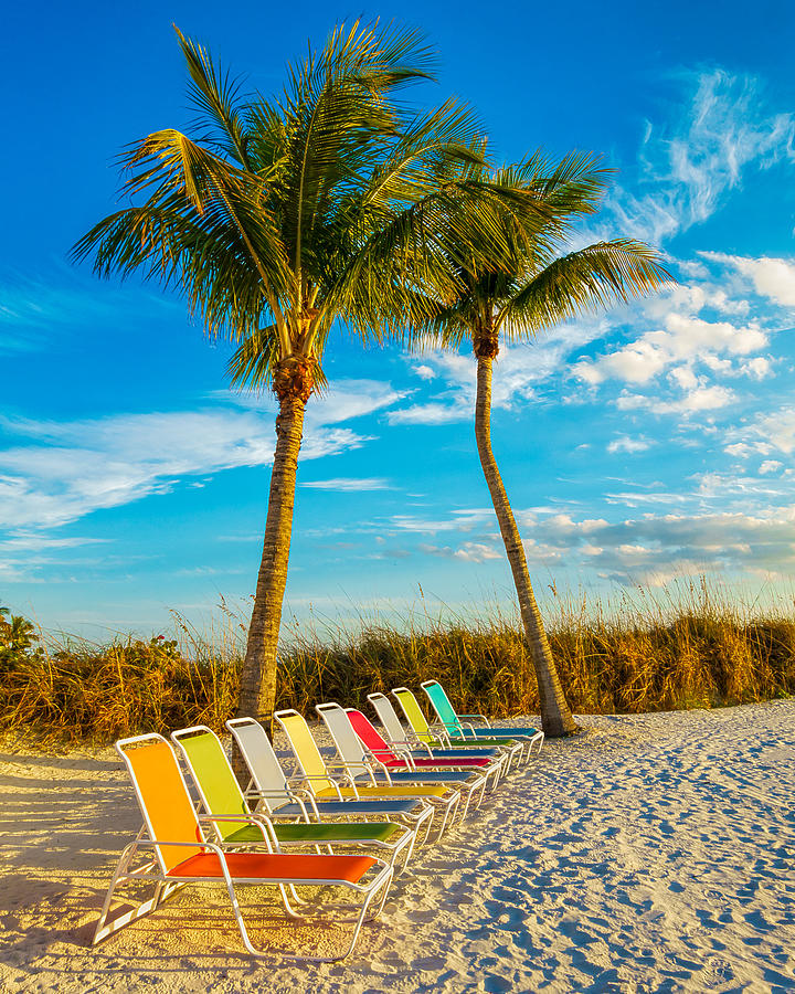 Beach Lounges under Palms Photograph by Robert FERD Frank