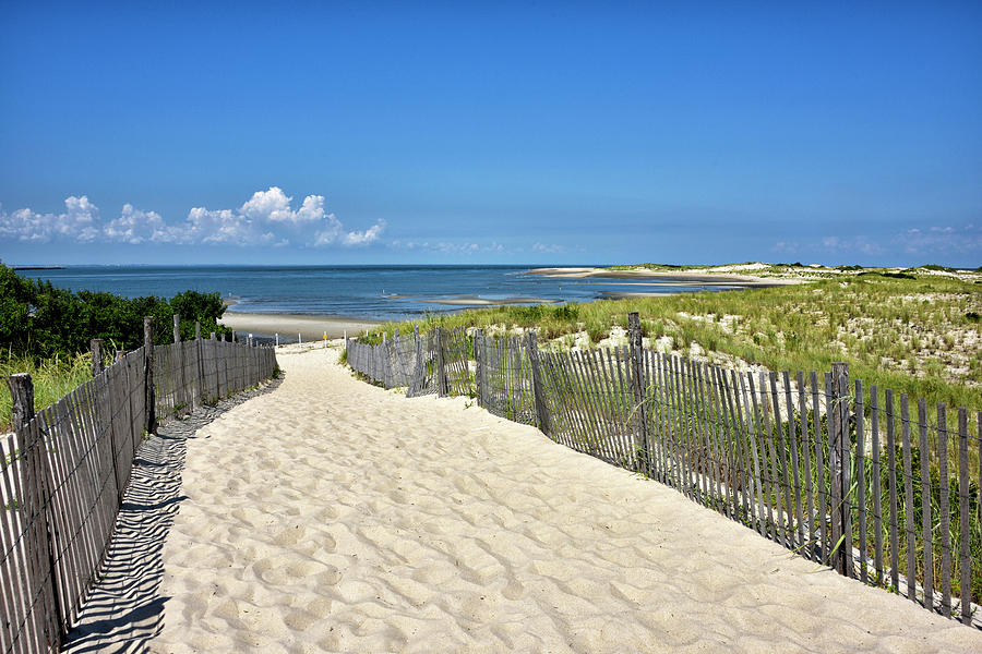 Beach Path at Cape Henlopen State Park - The Point - Delaware Photograph by Brendan Reals