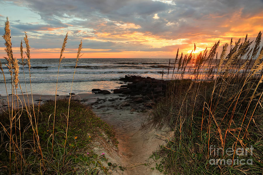 Nature Photograph - Beach Path by Rick Mann
