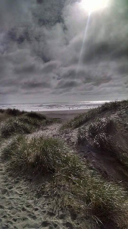 Beach path by Shari Chavira Beach path by Shari Chavira