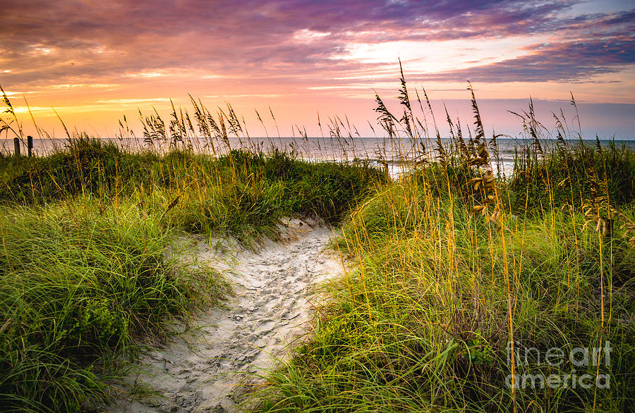 Beach Path Sunrise Photograph by David Smith