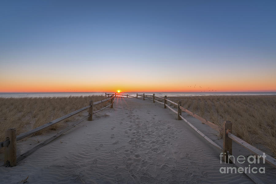 Nature Photograph - Beach Path Sunrise  by Michael Ver Sprill